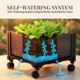 Growia indoor-outdoor tomato growing system withstands weather and UV exposure
