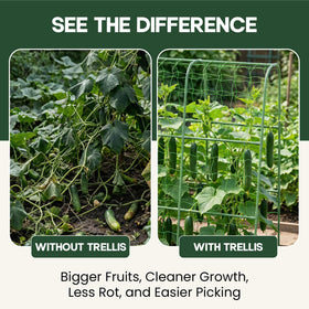 Growia fits raised beds planters and traditional gardens
