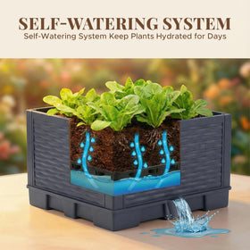 Growia self-watering tomato planter maintains consistent moisture for roots