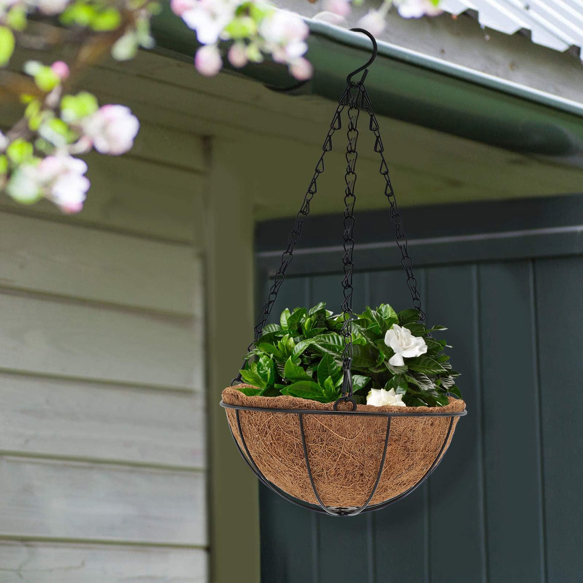 Growneer 3-pack 8in liners suit versatile outdoor planters.