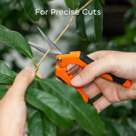 GROWNEER 6.5-inch pruning shears close-up with straight blades for precise cuts.
