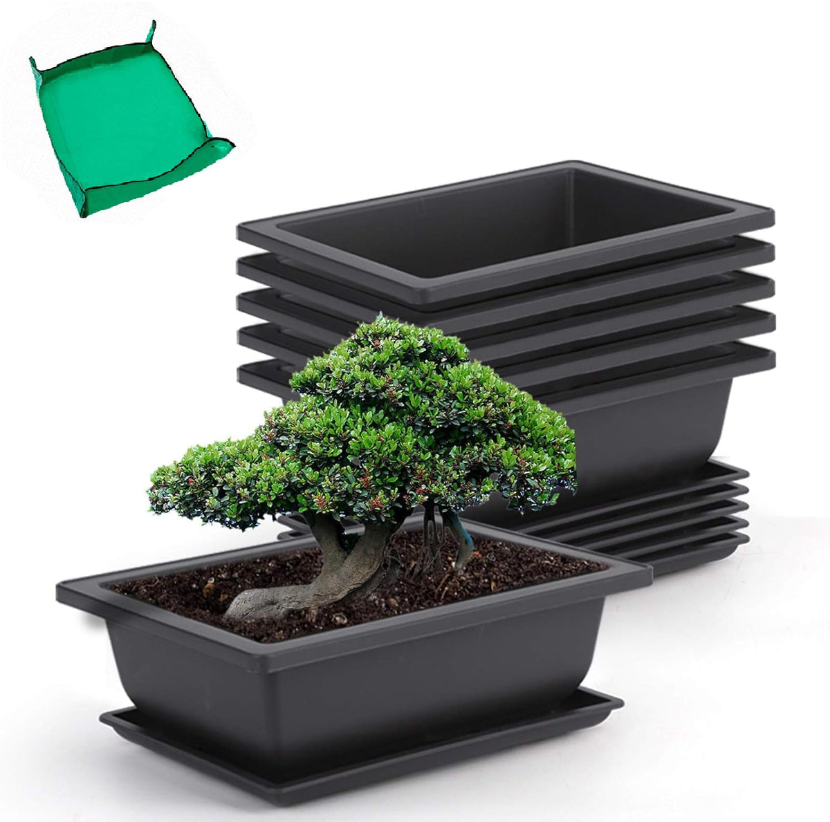 Growneer 6-pack 9-inch bonsai pots with drainage trays for healthy roots
