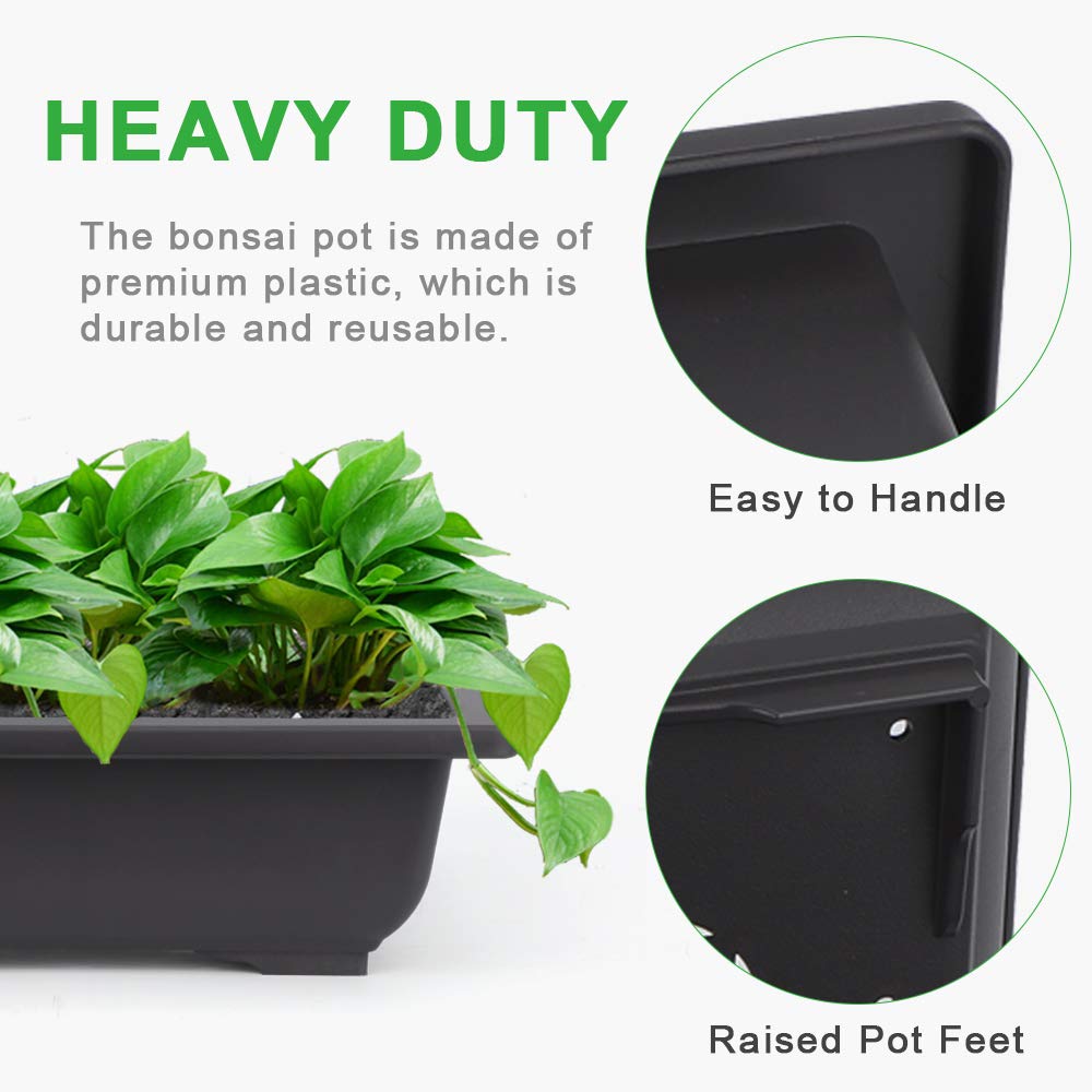 Growneer 9-inch training pots ideal for indoor and outdoor bonsai