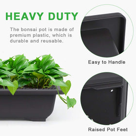 Growneer 9-inch training pots ideal for indoor and outdoor bonsai