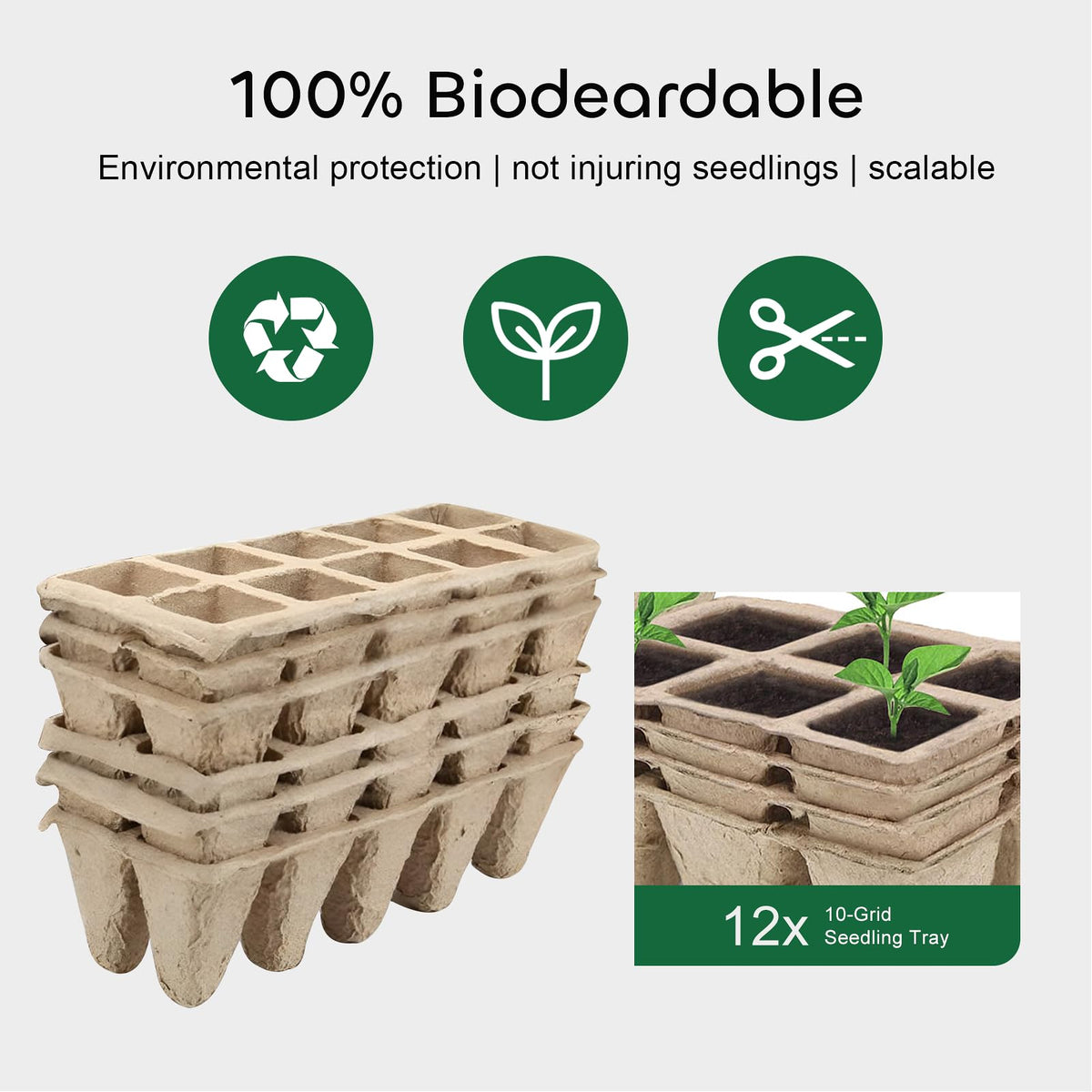 GROWNEER biodegradable seedling pots ready for transplant