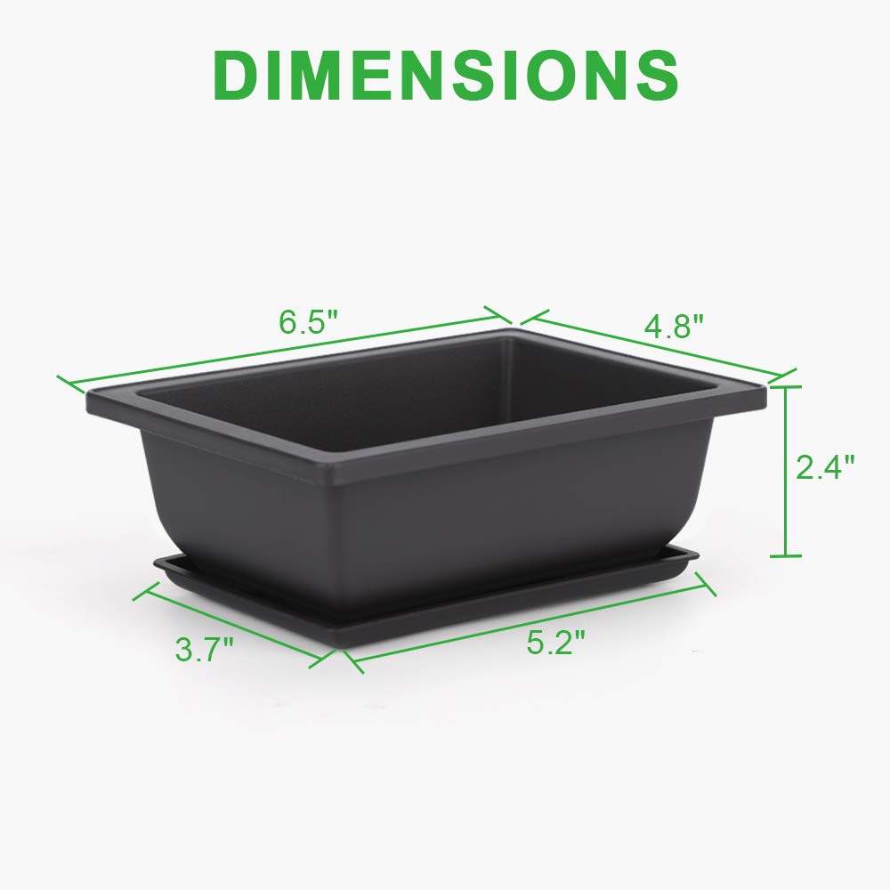 GROWNEER drainage humidity tray supports consistent moisture under a bonsai pot.