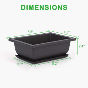 GROWNEER drainage humidity tray supports consistent moisture under a bonsai pot.