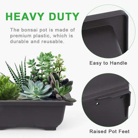 GROWNEER labeling system with plant labels for easy identification.