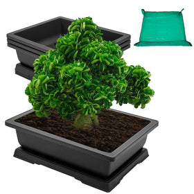 GROWNEER bonsai pot with 14-inch tray offers a stable, durable base.