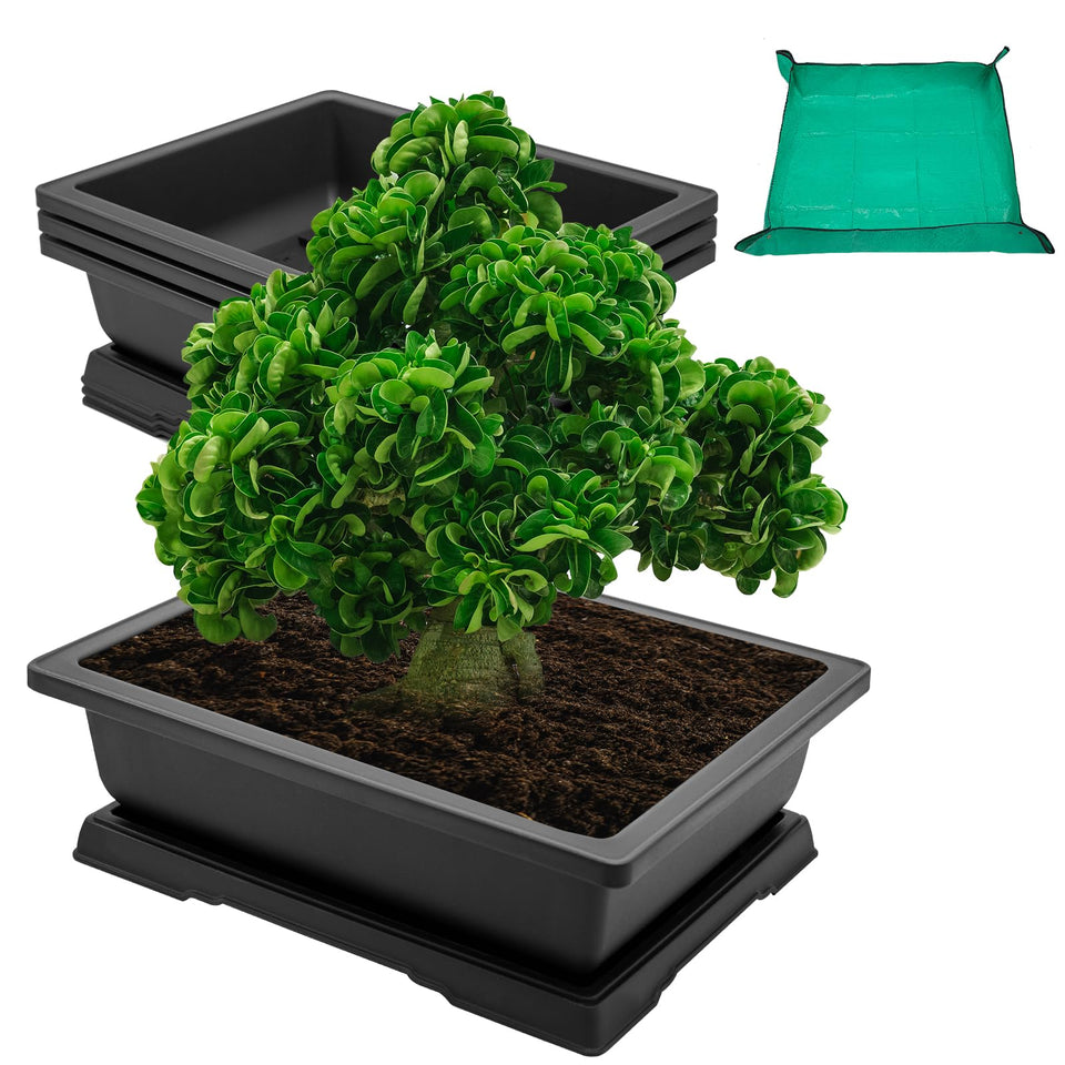 GROWNEER bonsai pot with 14-inch tray offers a stable, durable base.