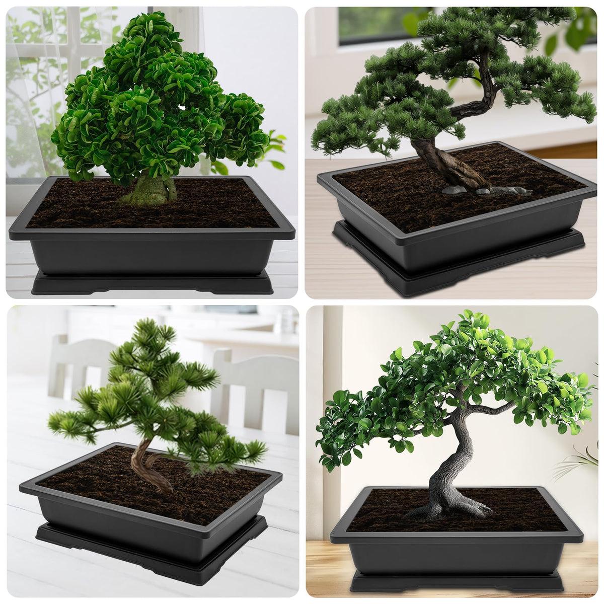 GROWNEER 14-inch bonsai planter enhances windowsills, decks, and patios.