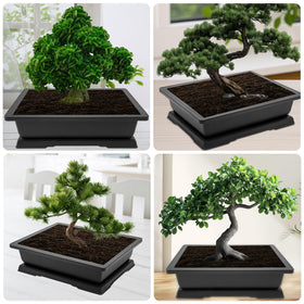 GROWNEER 14-inch bonsai planter enhances windowsills, decks, and patios.
