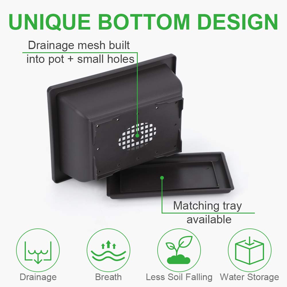 GROWNEER raised mesh design promotes airflow and drainage for bonsai health.