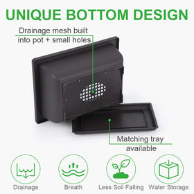 GROWNEER raised mesh design promotes airflow and drainage for bonsai health.