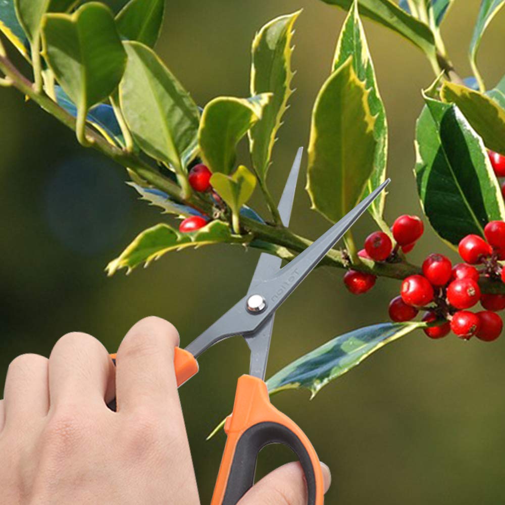 Growneer bonsai pruning scissors compact for delicate shape work