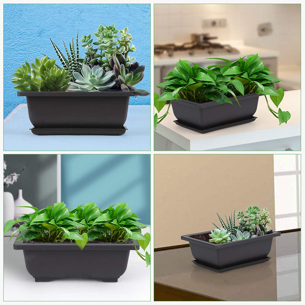 GROWNEER repotting mat included for tidy transplant work.