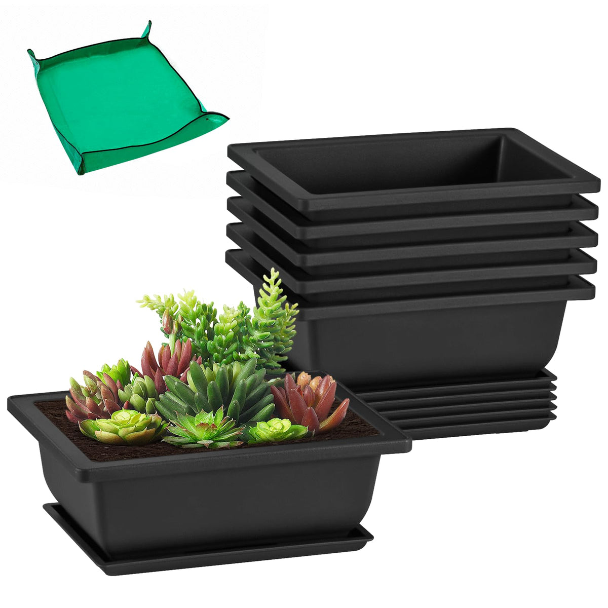 GROWNEER 6.5-inch bonsai pot with drainage for healthy roots.