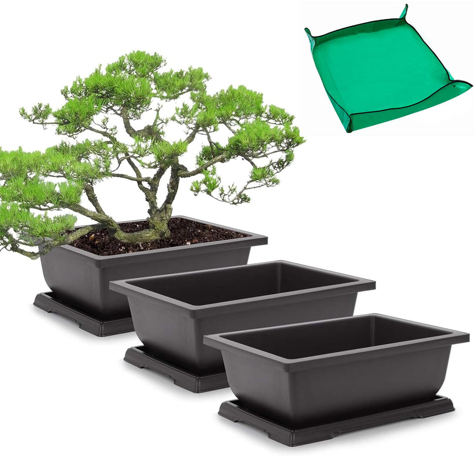 Growneer bonsai training pots with drainage trays for easy repotting.
