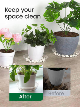Growneer clear saucers 10-inch top diameter support healthy drainage
