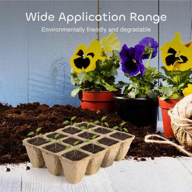 Growneer indoor gardening setup shows seedling progression