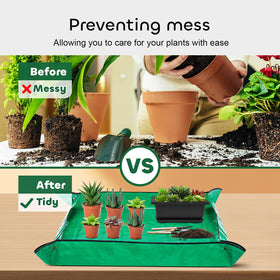 Growneer raised-structure bonsai tray prevents sliding during care
