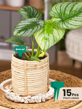 Growneer grooved base guides drainage and airflow