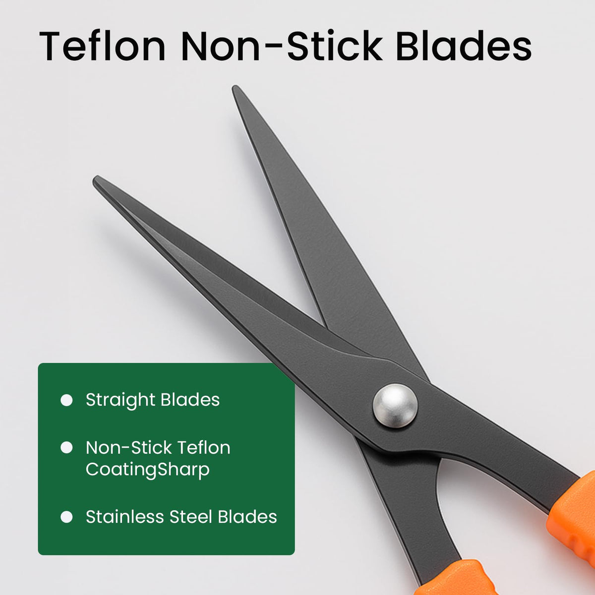 Growneer stainless steel 60mm straight blade for durable pruning precision