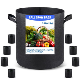 Growpropel taller bag with deep-root design supporting robust tomato growth
