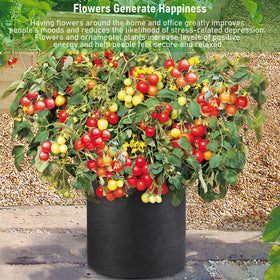Eco-friendly Growpropel reusable plant bags for sustainable urban gardening