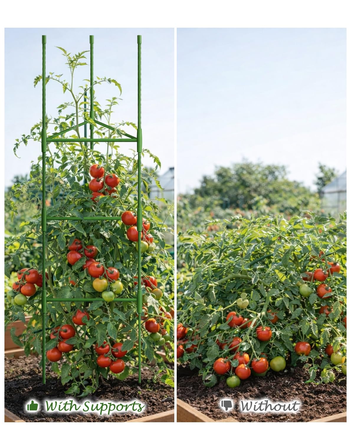 Growsun cucumber support durable metal frame keeps vines off surfaces
