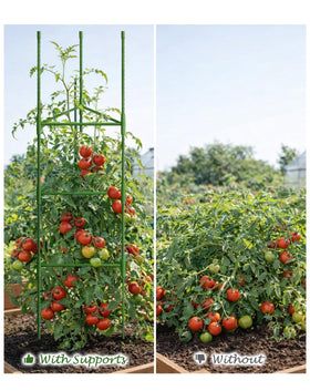 Growsun cucumber support durable metal frame keeps vines off surfaces