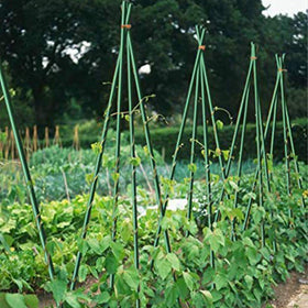 Growsun fence and pea support setup in a backyard garden