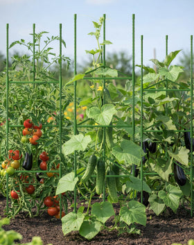 Growsun indoor-outdoor garden cage suitable for patios and raised beds