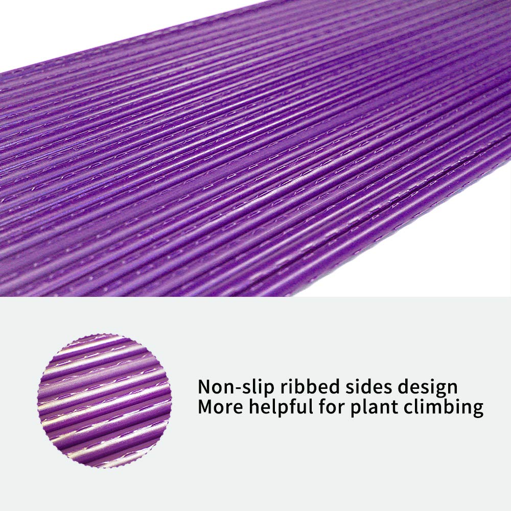 Growsun pole-bean stakes enabling tidy, organized training
