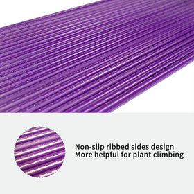 Growsun pole-bean stakes enabling tidy, organized training