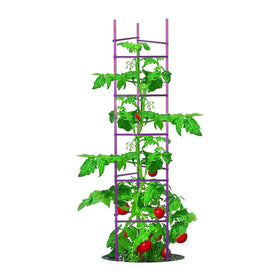 Growsun tomato cage 6-pack tall up to 73 inches provides sturdy support for thriving vines