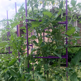 Growsun tomato cage assembly parts for quick setup and stable trellis