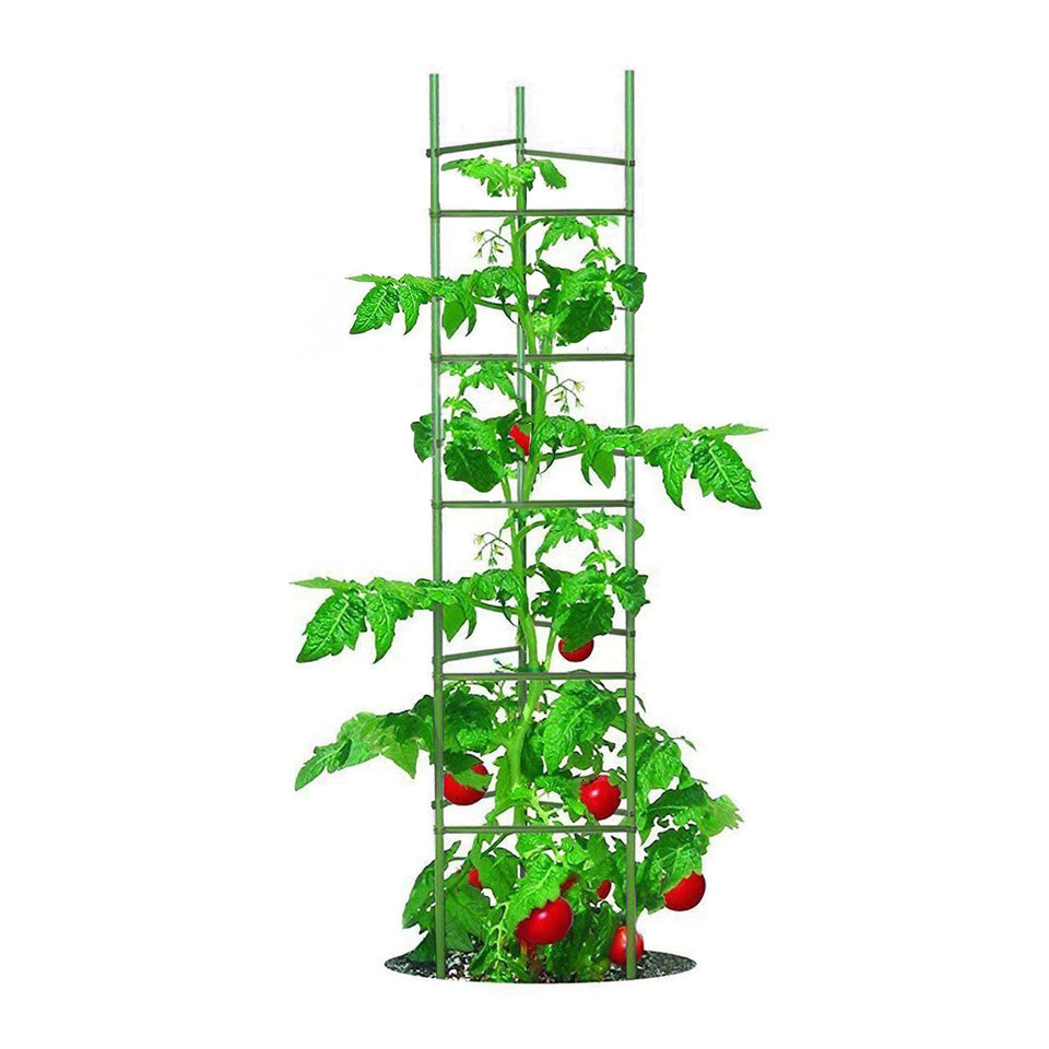 Growsun tomato cage extendable to 73 inches for sturdy garden support.