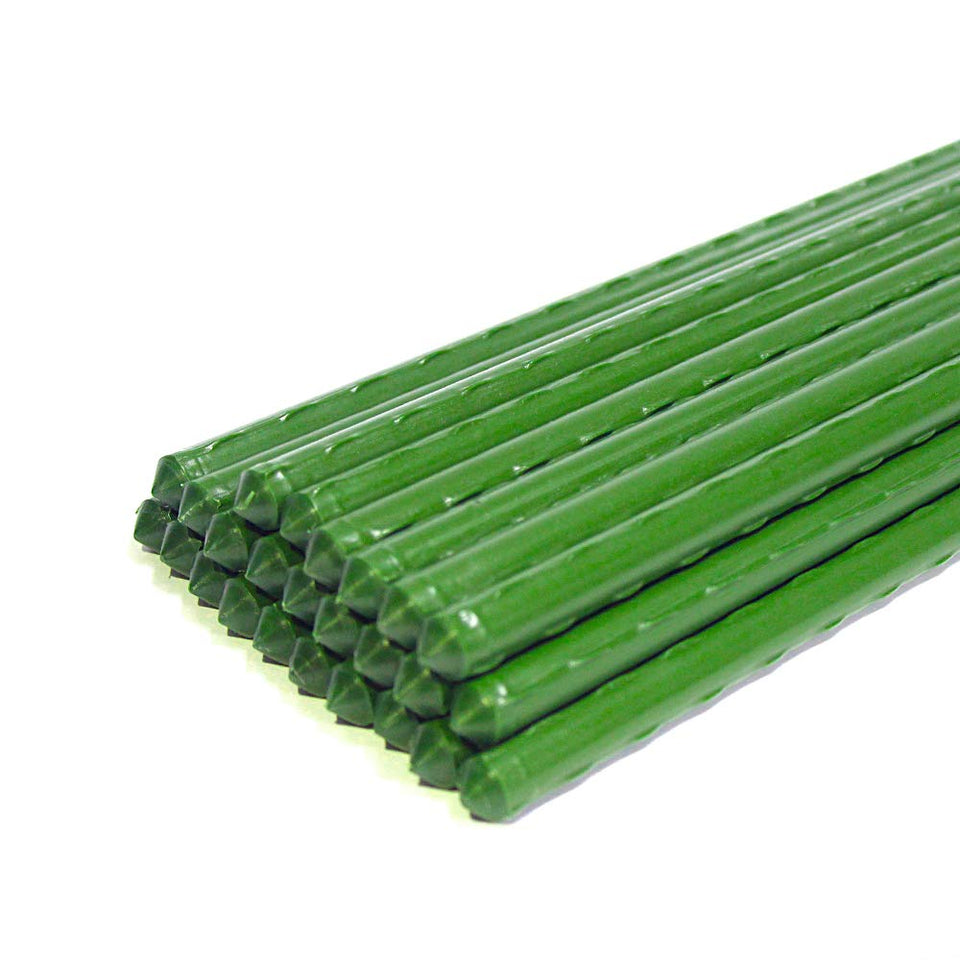 Growsun tomato stakes 5ft in garden, strong vertical support for climbing plants