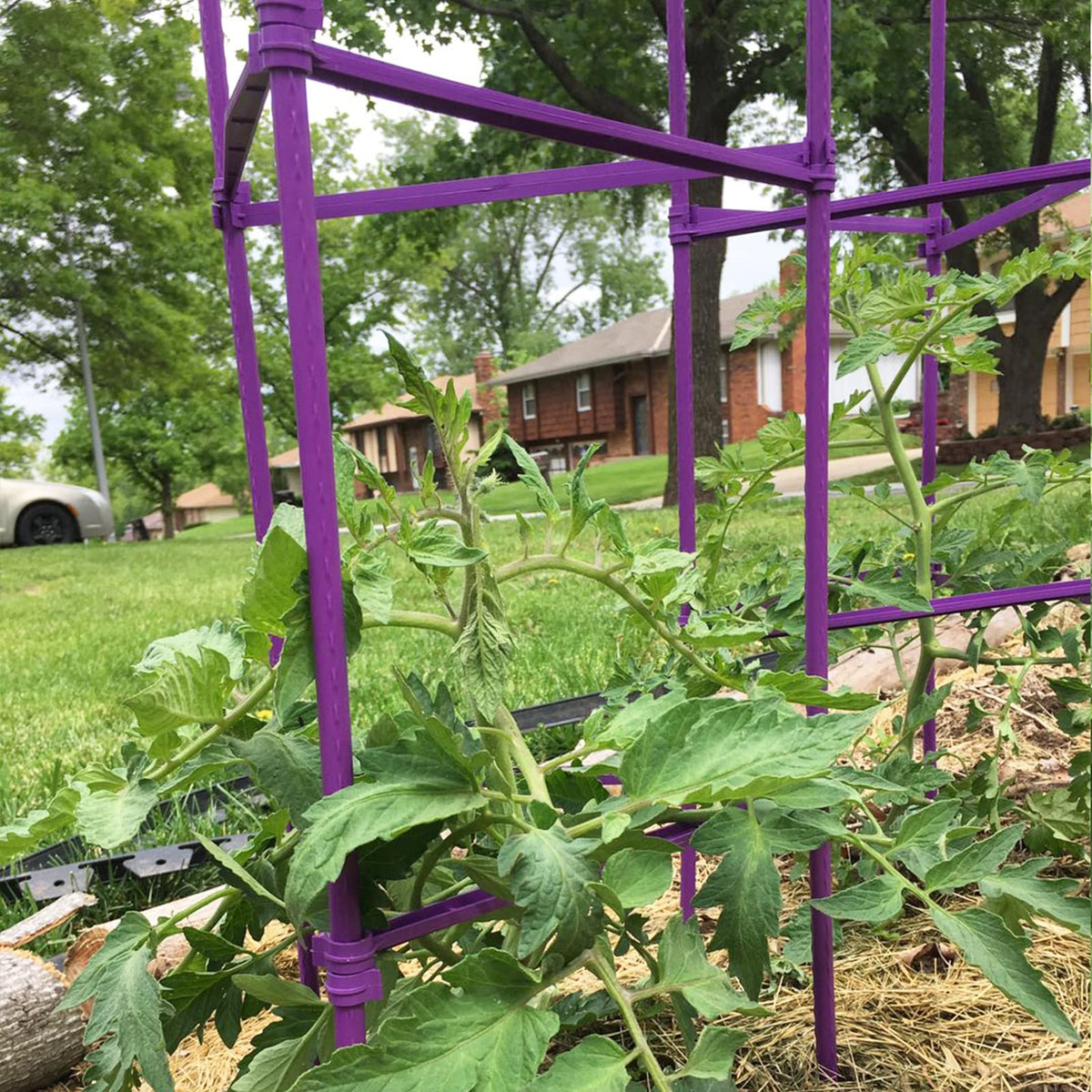 Growsun trellis-building stakes arranged for versatile garden layouts