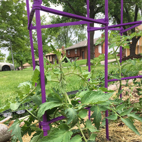 Growsun trellis-building stakes arranged for versatile garden layouts