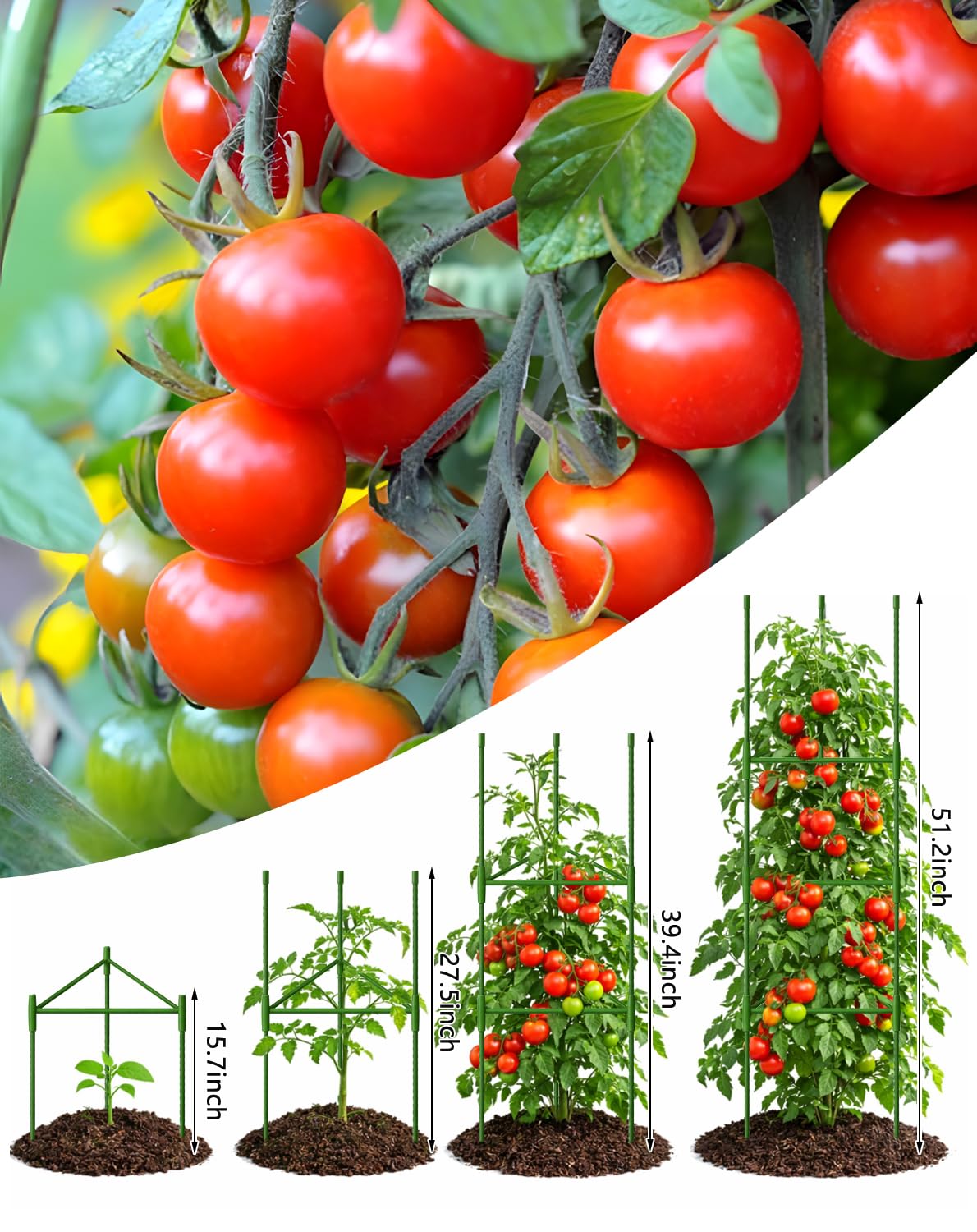 Growsun vegetable trellis sturdy metal frame keeps climbing plants upright