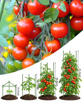 Growsun vegetable trellis sturdy metal frame keeps climbing plants upright