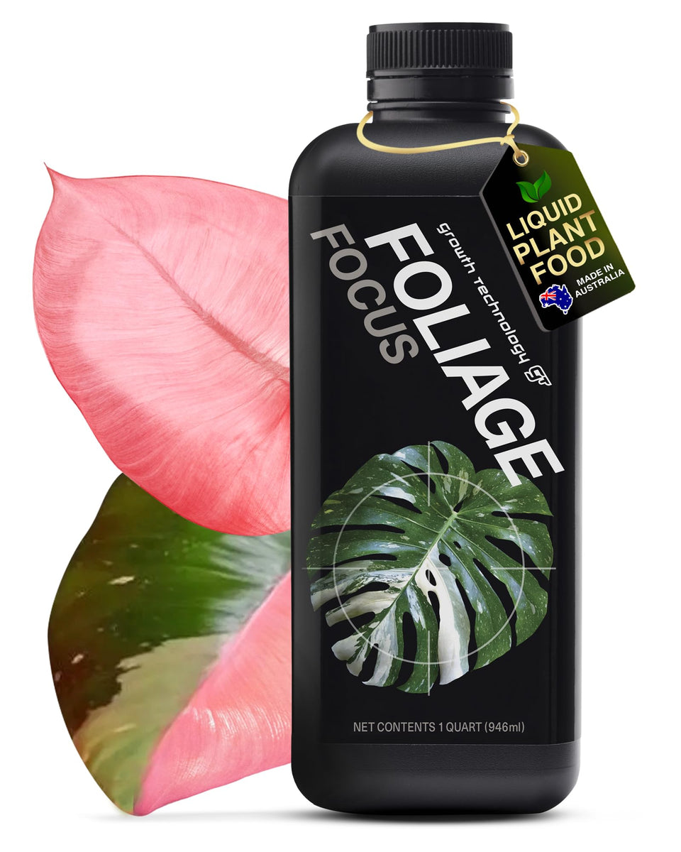 GT Foliage Focus bottle poured for steady indoor plant feeding