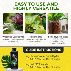 Hydroponic setup with GT Foliage Focus nutrient solution