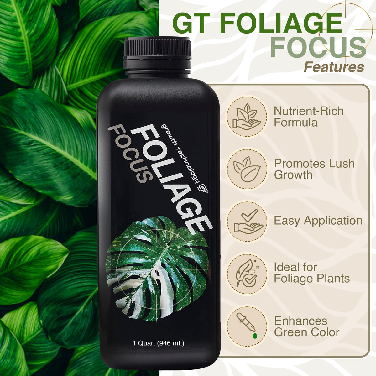 Healthy green leaves show vibrant growth with GT Foliage Focus