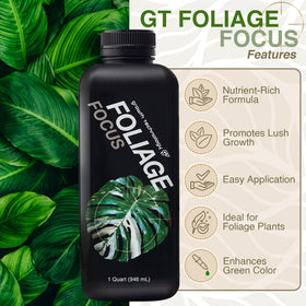 Healthy green leaves show vibrant growth with GT Foliage Focus