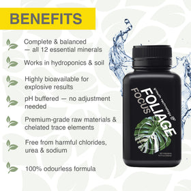 Growth Technology GT Foliage Focus root-support promoting stronger root growth