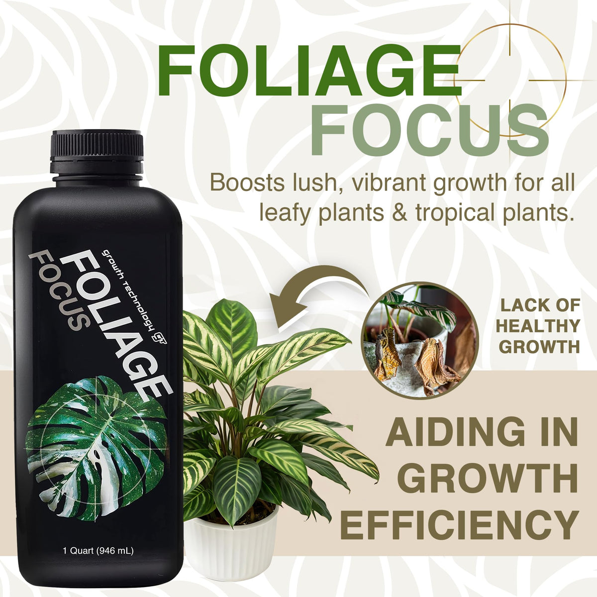 Lush tropical indoor plants supported by GT Foliage Focus