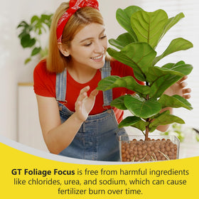 Growth Technology GT Foliage Focus usage-guide with clear dosing and feeding routine